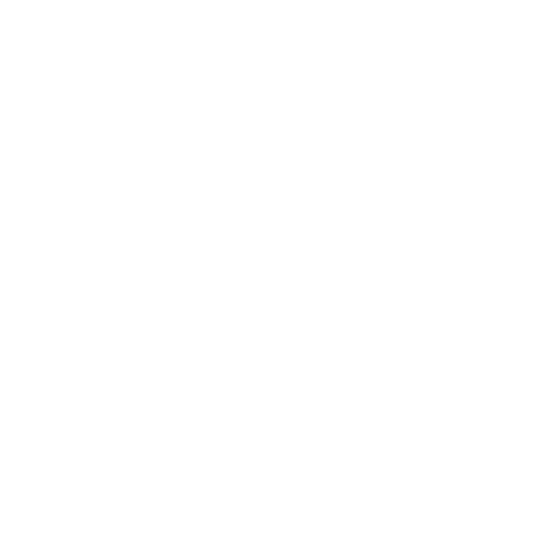 Zapy Digital